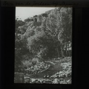 Böhl glass slide 61.2/1746a